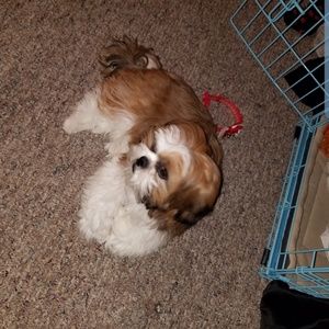 Meet your Posher, Quiana